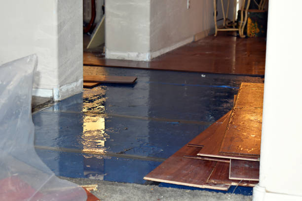 Professional Basement Flood Cleanup technician working in Larsen, WI